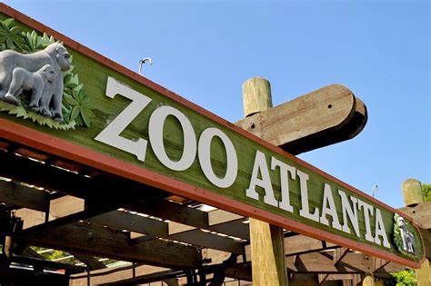 Zoo Atlanta A Renowned Zoological Park In The Us Go Guides