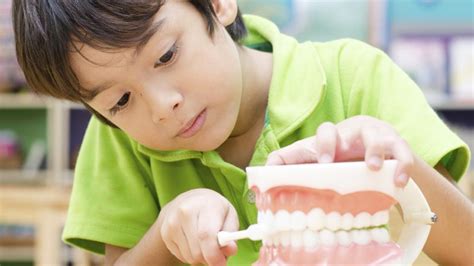 Pediatric dental care of wilmington. Perform Childhood Dental Care with Pediatric Dentists ...