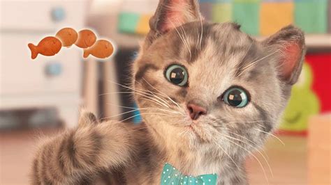 Get help with a lost/found animal. Little Kitten - My Cute Little Pet | Kittens Need A Home ...