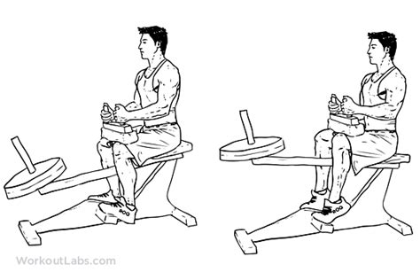 Seated Calf Raise | Illustrated Exercise guide - WorkoutLabs ðª