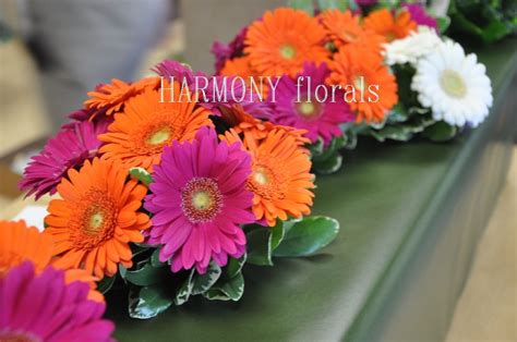 We did not find results for: Bright gerbera daisies | Gerbera daisy, Flowers bouquet ...