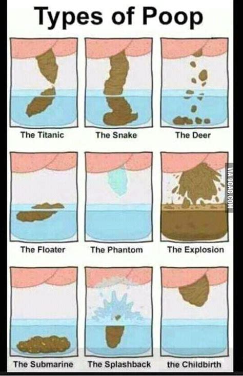 What Are The 7 Types Of Poop