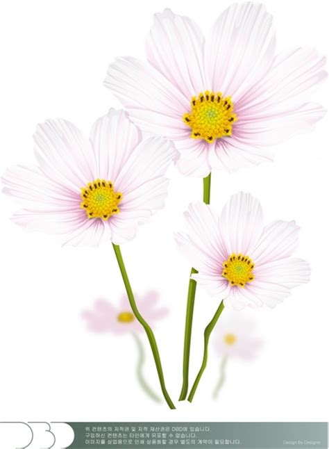 White flower vector Free vector in Adobe Illustrator ai ( .ai ) vector