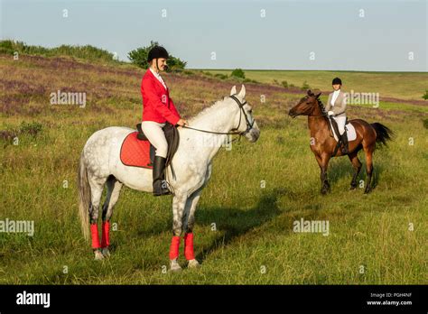 Reiterinnen Und Reiter Zwei Attraktive Frauen Pferde Auf Der Grünen Wiese Reiten Pferderennen