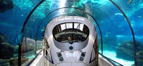 While the average internet speed in india is about 12 mbps, starlink provides up to 150 mbps at a much lower latency. Highspeed Undersea Rail Between Mumbai, UAE Planned For ...