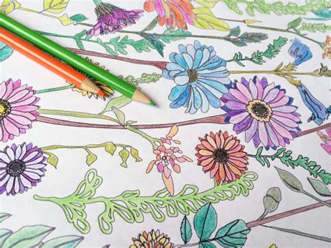 Download Coloring Pages: Botany Coloring Book Download