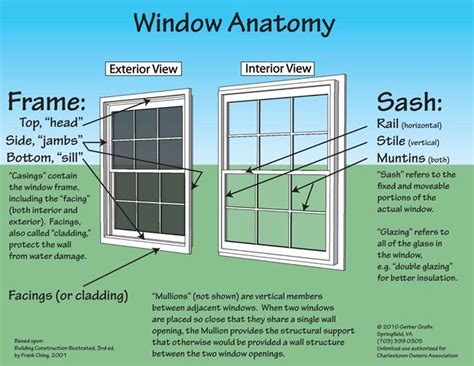 windows images  pinterest anatomy anatomy