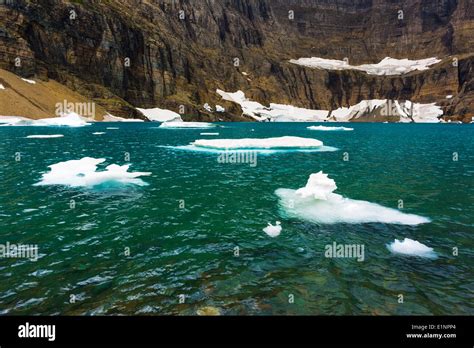 Icebergs On Iceberg Lake Many Glacier Glacier National Park Montana