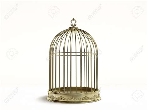 Birdcage saloon | Bird cage