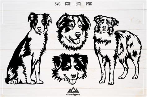 Download Dog Australian Shepherd Svg Design By AgsDesign ...