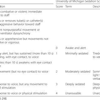 Check spelling or type a new query. (PDF) Validity of the Richmond Agitation-Sedation Scale ...