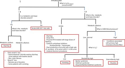Hypokalemia Differential Diagnosis And Workup Algorithm Uk Grepmed