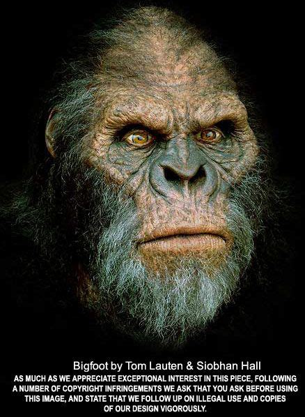 Amazing Bigfoot Makeup. | Bigfoot sightings, Bigfoot ...