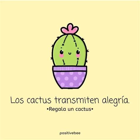 Los cactus transmiten alegría Video Frases de cactus Imágenes de