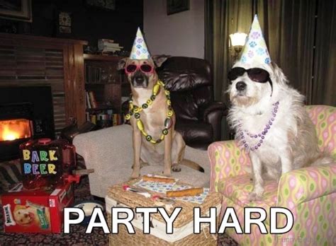 50 Most Funny Party Memes