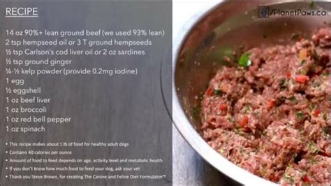However, it also takes into account the dietary changes in domesticated dogs. Pin on Affordable Homemade Dog Food Recipe