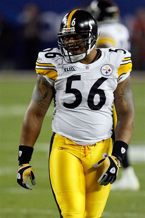 Pittsburgh Steelers Training Camp Preview: Linebackers | Bleacher