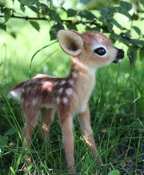 Pin By Lamont Hardiman On Animals Baby Animals Super Cute Cute