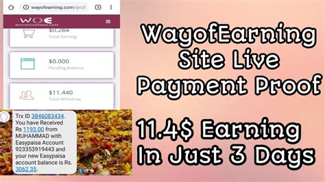 To applicants who have been asking whether their bsh 2019 application is @ successful or not. Wayofearning Website Live Payment Proof 3rd August 2019 ...