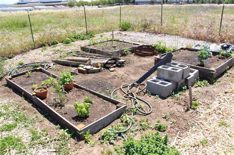 My First Garden Photos 7 Different Community Garden Plot Designs