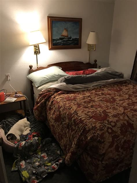 We did not find results for: Ocean Front Cabins - 22 Photos & 11 Reviews - Hotels ...