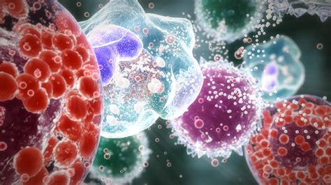 Free Download Immune Cells 01 0 1920 1080 Trendintech 1920x1080 For