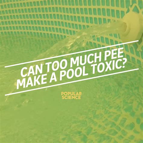 can too much pee make a pool toxic this is why you shouldn t pee in a pool by popular science