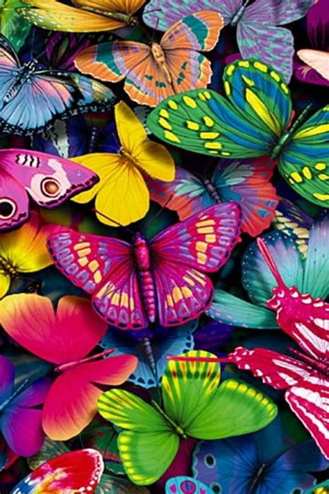 Check spelling or type a new query. Colorful Butterfly Wallpaper - Mobile Wallpapers