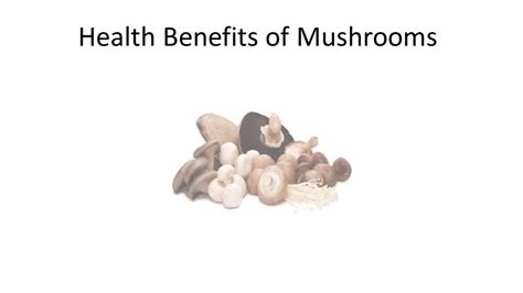 Top 10 Health Benefits And Advantages Of Eating Mushrooms Youtube