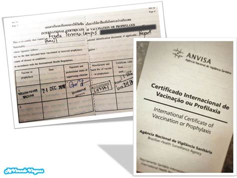 Para que serve e como emitir online (atualizado 2020). Como obter o CIVP: Certificado Internacional de Vacinação ...
