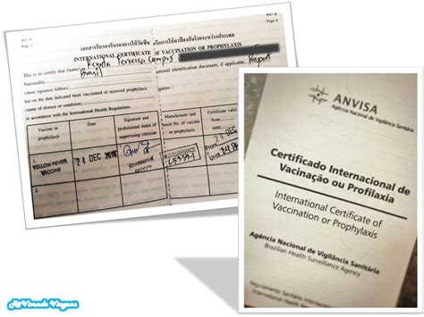 Para mais informações sobre os países que podem exigir o certificado internacional de vacinação de febre amarela e mais notícias sobre os brotes epidemiológicos da febre amarela, visite o site da. Como obter o CIVP: Certificado Internacional de Vacinação ...