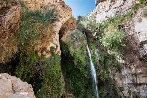 Ein Gedi Nature Reserve Full Guide Travel Israel