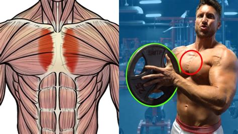 The Only Inner Chest Workout You Need For A Thick Chest Youtube