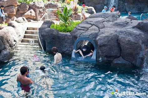 Paradise Pool At The Hilton Hawaiian Village Hilton