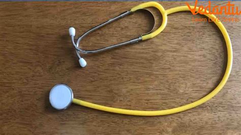 5 Diy Stethoscope Making Activities To Try With Your Children At Home