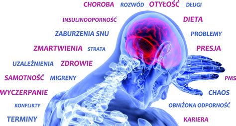 Neuroprzeka Niki I Hormony Stresu Cambridge Diagnostics