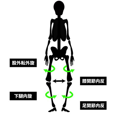 変形性膝関節症に伴う姿勢変化を運動連鎖で解説