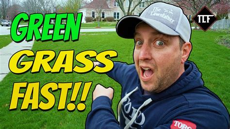 How To Easily Wake Up Your Dormant Grass Fast Youtube