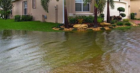 How To Help Your Lawn Recover After A Flood