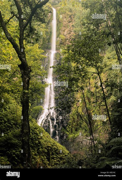 Costa Rica Cocos Island Wafer Bay Waterfall World Heritage Site