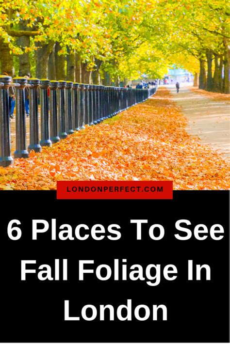 Fall Foliage In London 6 Places You Must See On Your Autumn Trip