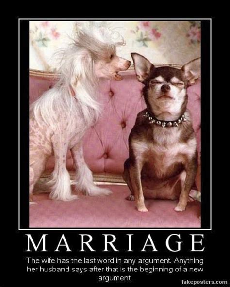 Friday Funny Marital Bliss Dog Blog