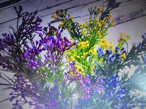 Похудеть назло всем