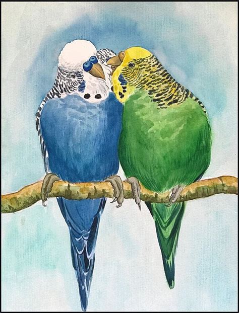 Este Artículo No Está Apto Parrots Art Bird Drawings Watercolor Bird
