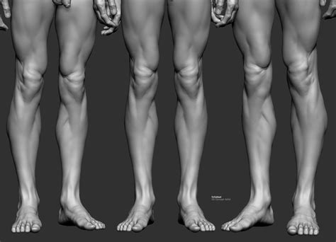 Pin By Alexandre Dumillard On Anatomy Posing Men Anatomy Sculpture Anatomy Poses Body Anatomy