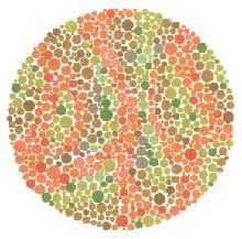 If your child appears uncertain if a color is red, green, brown, purple, blue or grey, there is a fair chance that he is color blind. What is Color-Blindness
