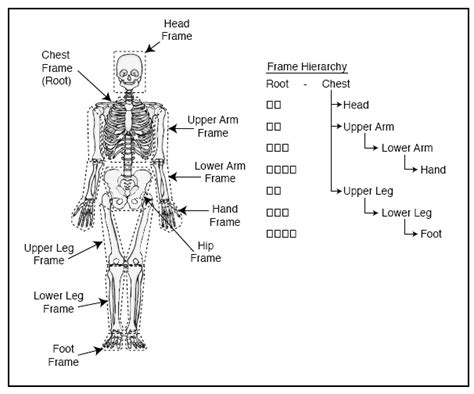 Bones On Chest