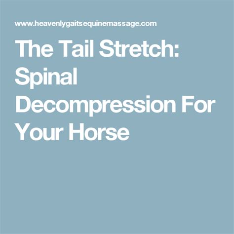 The Tail Stretch Spinal Decompression For Your Horse Spinal