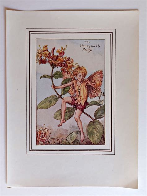 Honeysuckle Fairies Print Flower Fairy Prints