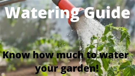 Watering Guide Know How Much To Water Your Garden Youtube